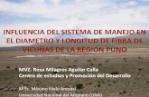 Influencia del sistema de manejo en el diámetro y longitud de fibra de vicuñas de la región Puno