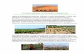 Озеленение пустыни и восстановление сапропелем земель туркмении