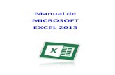 Excel 2013 (1)