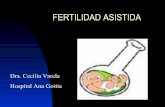 Fertilidad asistida