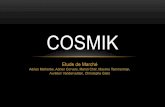 Etude de marché : Cosmik