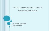 Proceso industrial de la palma africana