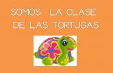Clase tortugas