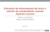 Extração de informações de texto e cálculo de similaridade usando Apache Lucene