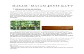 Jenis jenis kayu ( Kelas Kekuatan & Keawetan & Berat Jenis Kayu Indonesia )