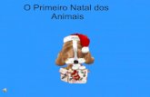O Pai Natal dos Animais