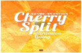 "체리 쪼개기 테크닉 6단계" (Attribution Listing : Cherry Split)