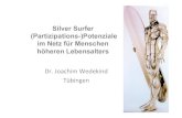Vortrag Hamburg Silver Surfer