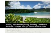 Activity-Based Micro-pricing: Realizing Sustainable Behavior Changes through Economic Incentives