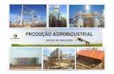 Produção Agroindustrial