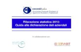 Rilevazione statisticaceceditalia guidacompilazionedichiarazione2010