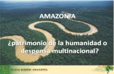 Presentacion amazonia