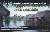La internacionalización del Amazona