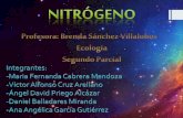 El ciclo del nitrogeno