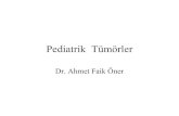 pediatrik-tümörler (fazlası için  )