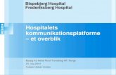 Hospitalets kommunikationsplatforme - et overblik
