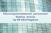 Informasjonssikkerhet og personvern i Oslo kommune, ledelsesansvar, teknologi og nettsky