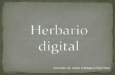 Herbario digital.