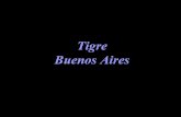 TIGRE - BUENOS AIRES - ARGENTINA