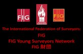 FIG, Young Surveyors Network, FIG Foundationについて(Japanese)