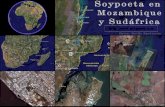 Soypoeta en Mozambique