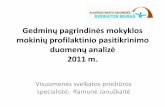 Gedminų 2011 prof pat analizė