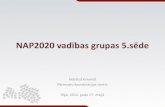 NAP2020 melraksts - vadības grupas 5.sēde