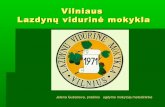 Vilniaus Lazdynų vidurinė mokykla
