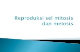 IDK 1(Ilmu Dasar Keperawatan 1) :  reproduksi sel, mitosis dan meiosis