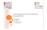 Ifmt p13 cancers induits par les parasites