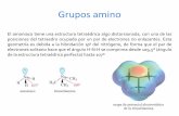 Grupos amino