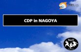 CDP in NAGOYA