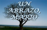 Un Abrazo Mario - Benedetti - Sonata para adios