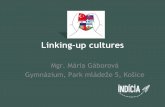 Linking-up cultures