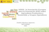 20131003 H2020 Pamplona Andrés Montero: H2020 y asociaciones europeas para la innovación. eip de agricultura sostenible y su conexión con h2020