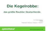 Vortrag: Die Kegelrobbe - das größte Raubtier Deutschlands