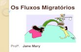 Os fluxos migratórios