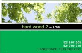 Hardwood 2(Tree)