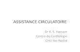 Assistance circulatoire
