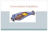 Convertidor Catalítico NMS
