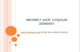 Mehmet aki̇f coşkun 20080951