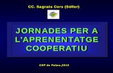 CC Sagrats Cors de Sóller:  aprenentage cooperatiu_1_pdf
