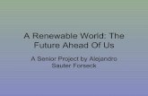 Reducing your carbon footprint (Senior Project - Mexico)