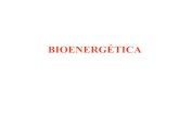 08 bioenergética