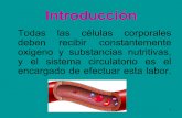 Tema 11. aparato circulatorio