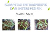 Kompetisi intraspesifik & interspesifik iii.ppt