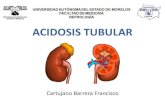 Acidosis tubular