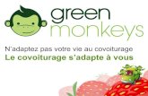 Green Monkeys - le covoiturage en toute liberté