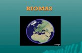 Presentacion sobre biomas nelson melendez