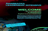 Ängsbacka Leadership Intensive training description